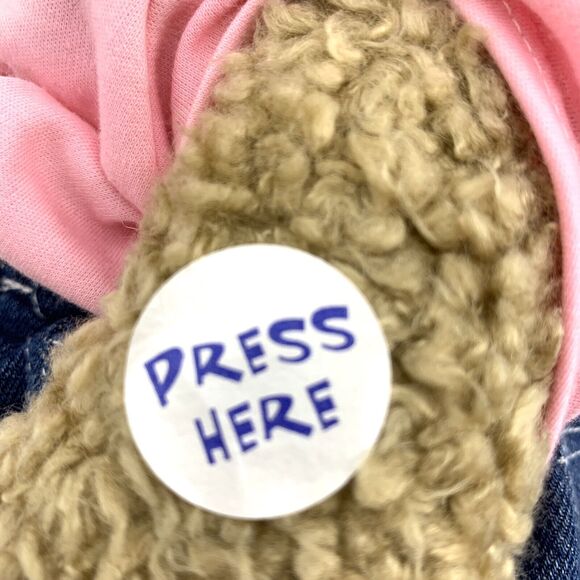 Build a Bear Curly Brown Bear with Giggle Button Outfit & Boxers - Picture 9 of 11